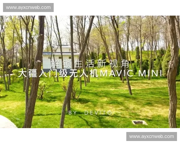 近年来多视角付费模式成为新增长点，解锁专属观看体验。